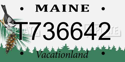 T736642 Maine License Plate