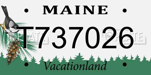 T737026 Maine License Plate