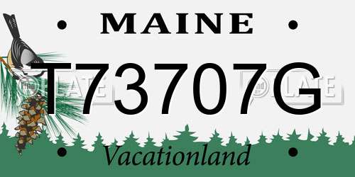 T73707G Maine License Plate