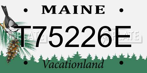 T75226E Maine License Plate