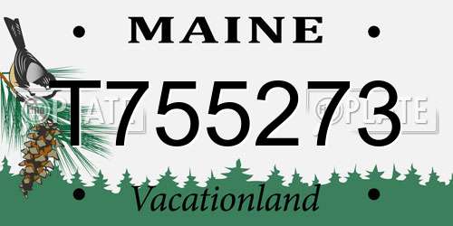T755273 Maine License Plate
