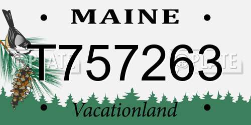 T757263 Maine License Plate