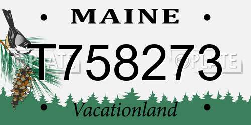 T758273 Maine License Plate