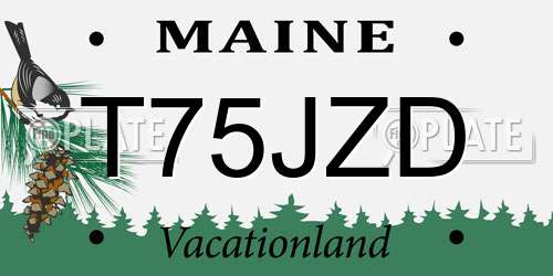 T75JZD Maine License Plate