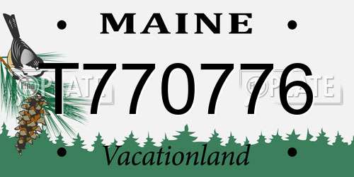 T770776 Maine License Plate
