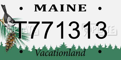 T771313 Maine License Plate