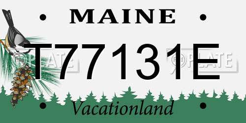 T77131E Maine License Plate
