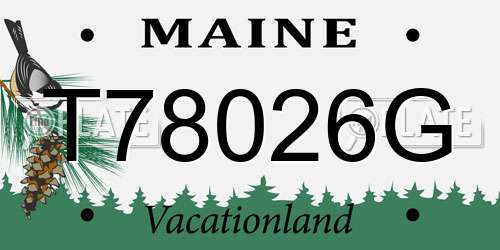 T78026G Maine License Plate