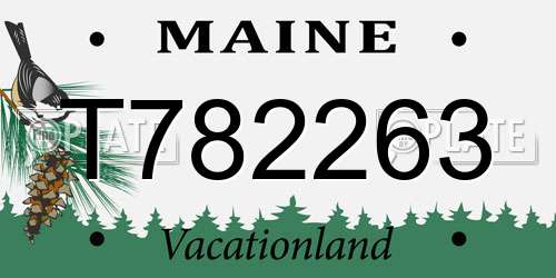 T782263 Maine License Plate