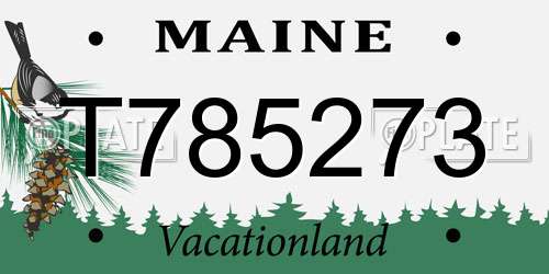 T785273 Maine License Plate