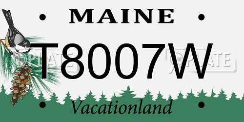 T8007W Maine License Plate
