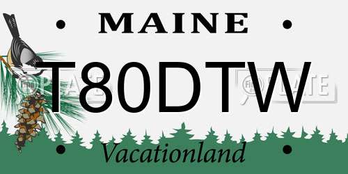 T80DTW Maine License Plate