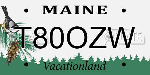 T80OZW Maine License Plate
