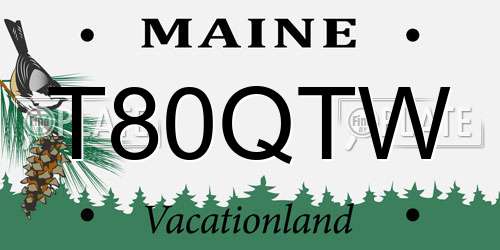 T80QTW Maine License Plate