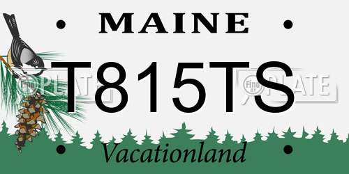 T815TS Maine License Plate