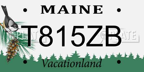T815ZB Maine License Plate