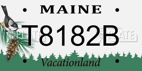 T8182B Maine License Plate