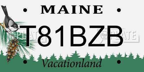 T81BZB Maine License Plate