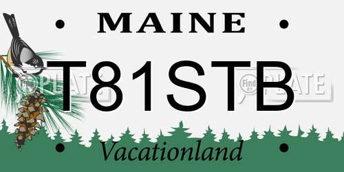 T81STB Maine License Plate