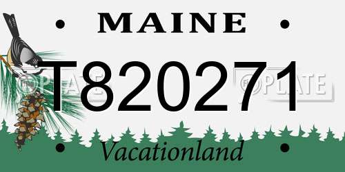 T820271 Maine License Plate