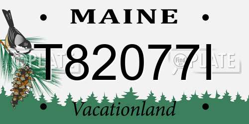 T82077I Maine License Plate