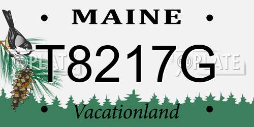 T8217G Maine License Plate