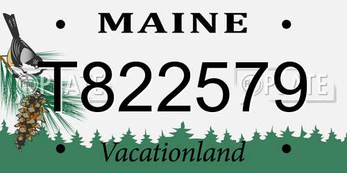 T822579 Maine License Plate