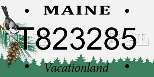 T823285 Maine License Plate
