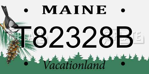 T82328B Maine License Plate