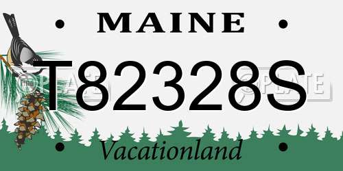 T82328S Maine License Plate