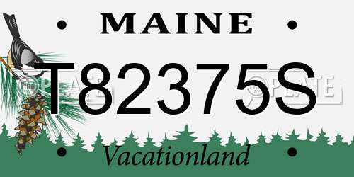 T82375S Maine License Plate