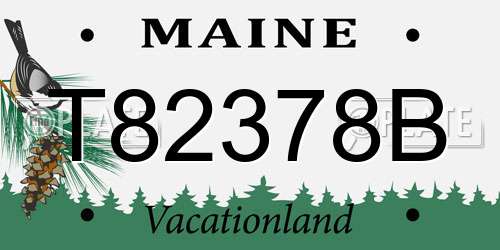 T82378B Maine License Plate