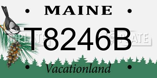 T8246B Maine License Plate