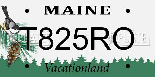 T825RO Maine License Plate