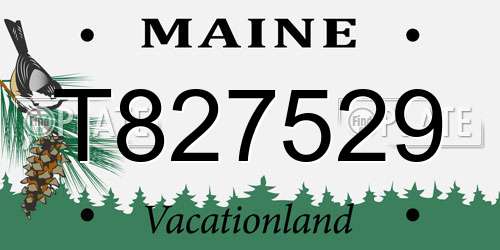 T827529 Maine License Plate