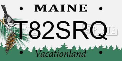 T82SRQ Maine License Plate