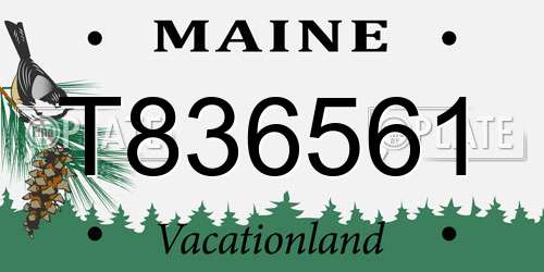 T836561 Maine License Plate