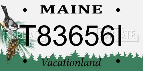 T83656I Maine License Plate