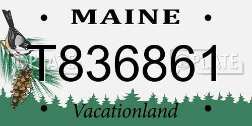 T836861 Maine License Plate