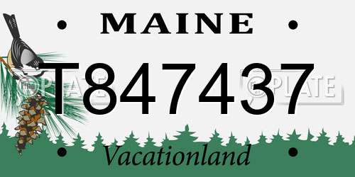 T847437 Maine License Plate
