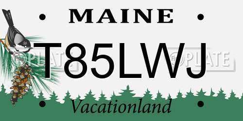 T85LWJ Maine License Plate