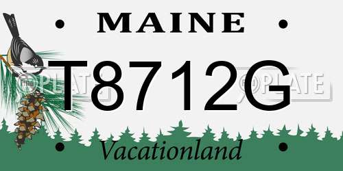 T8712G Maine License Plate