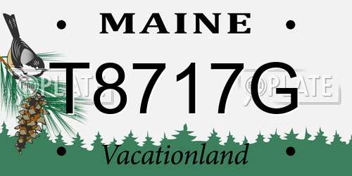 T8717G Maine License Plate