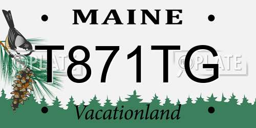 T871TG Maine License Plate