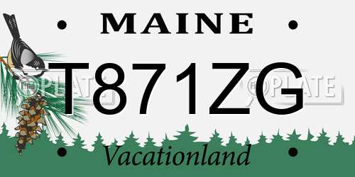 T871ZG Maine License Plate