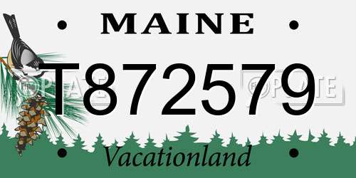 T872579 Maine License Plate