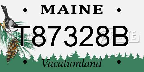 T87328B Maine License Plate