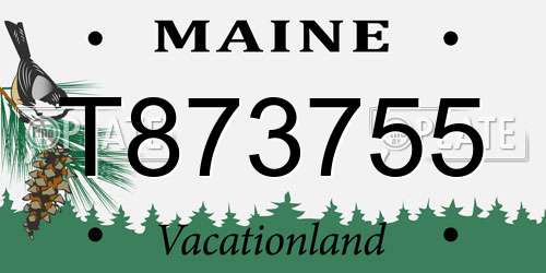 T873755 Maine License Plate