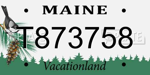 T873758 Maine License Plate