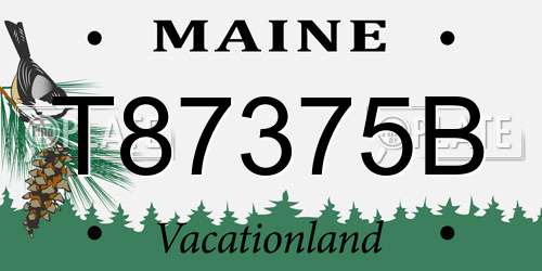 T87375B Maine License Plate